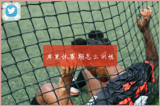 库里休赛期怎么训练